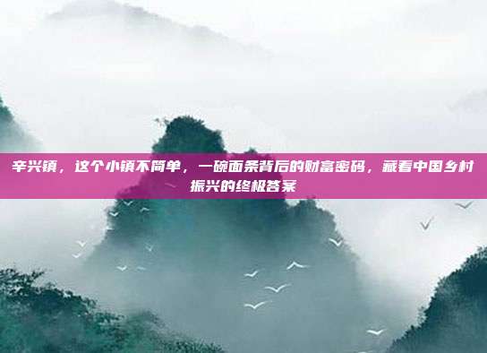 辛兴镇，这个小镇不简单，一碗面条背后的财富密码，藏着中国乡村振兴的终极答案