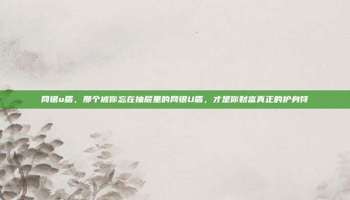 网银u盾，那个被你忘在抽屉里的网银U盾，才是你财富真正的护身符