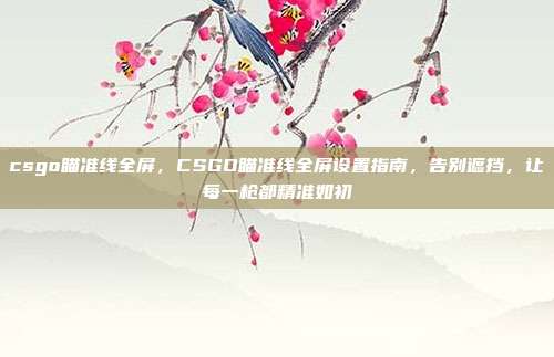 csgo瞄准线全屏,CSGO瞄准线全屏设置指南,告别遮挡,让每一枪都精准如初