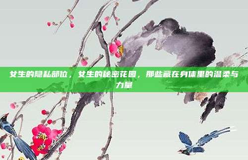 女生的隐私部位,女生的秘密花园,那些藏在身体里的温柔与力量