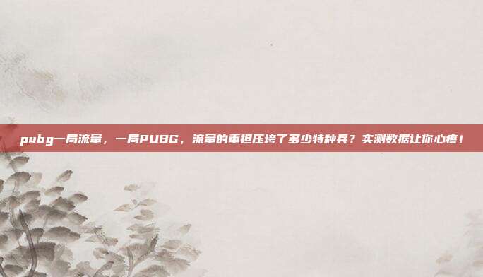 pubg一局流量,一局PUBG,流量的重担压垮了多少特种兵?实测数据让你心疼!