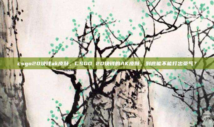 csgo20块钱ak皮肤，CSGO 20块钱的AK皮肤，到底能不能打出豪气？