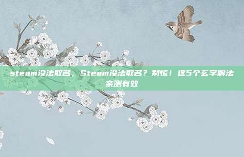 steam没法取名，Steam没法取名？别慌！这5个玄学解法亲测有效