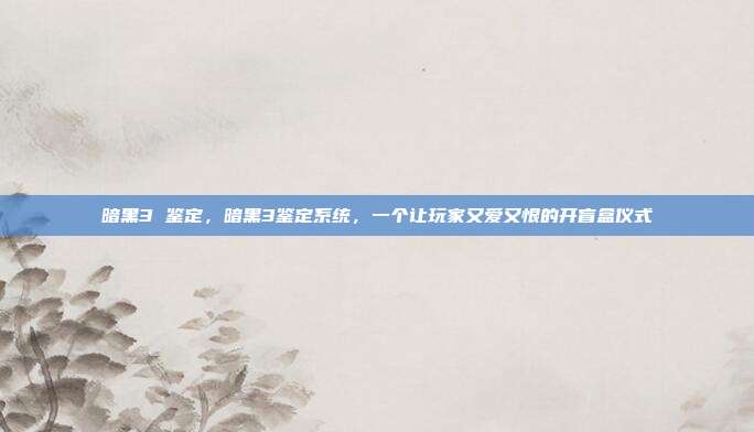 暗黑3 鉴定，暗黑3鉴定系统，一个让玩家又爱又恨的开盲盒仪式