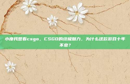 小度我想看csgo,CSGO的终极魅力,为什么这款游戏十年不衰?