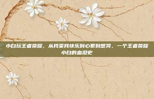 小白玩王者荣耀,从我菜我快乐到心累到想哭,一个王者荣耀小白的血泪史