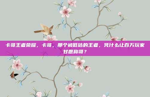 卡哥王者荣耀,卡哥,那个被低估的王者,凭什么让百万玩家甘愿称哥?