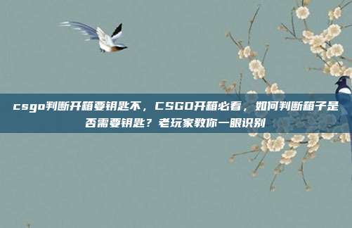 csgo判断开箱要钥匙不,CSGO开箱必看,如何判断箱子是否需要钥匙?老玩家教你一眼识别