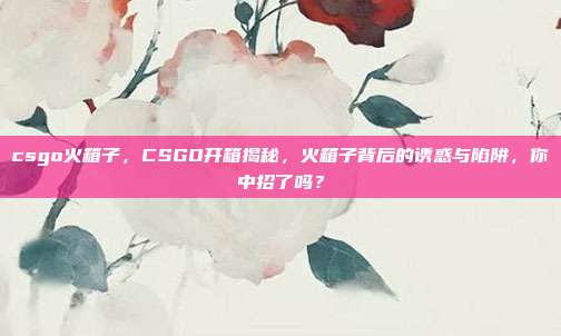 csgo火箱子,CSGO开箱揭秘,火箱子背后的诱惑与陷阱,你中招了吗?