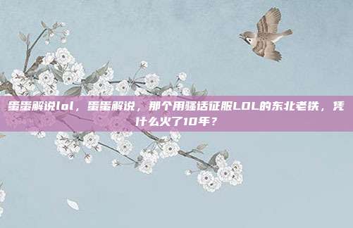 蛋蛋解说lol,蛋蛋解说,那个用骚话征服LOL的东北老铁,凭什么火了10年?