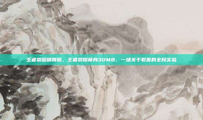 王者荣耀精简版,王者荣耀瘦身30MB,一场关于取舍的全民实验