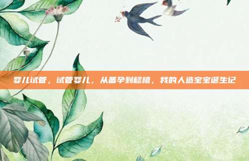 婴儿试管,试管婴儿,从备孕到移植,我的人造宝宝诞生记
