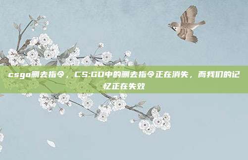 csgo删去指令,CS:GO中的删去指令正在消失,而我们的记忆正在失效