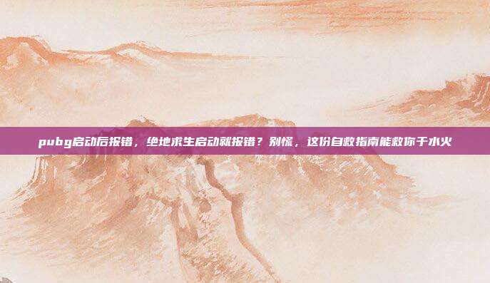 pubg启动后报错,绝地求生启动就报错?别慌,这份自救指南能救你于水火