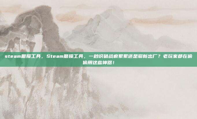 steam磨损工具，Steam磨损工具，一秒识破战痕累累还是崭新出厂？老玩家都在偷偷用这些神器！
