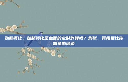 动脉钙化,动脉钙化是血管的定时炸弹吗?别慌,真相远比你想象的温柔