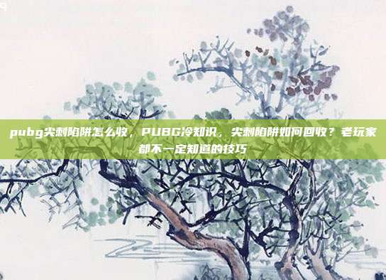 pubg尖刺陷阱怎么收,PUBG冷知识,尖刺陷阱如何回收?老玩家都不一定知道的技巧