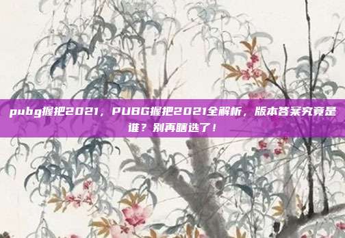 pubg握把2021，PUBG握把2021全解析，版本答案究竟是谁？别再瞎选了！
