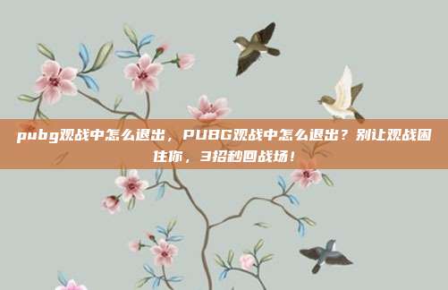 pubg观战中怎么退出,PUBG观战中怎么退出?别让观战困住你,3招秒回战场!