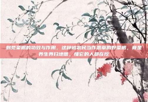 刺苋菜根的功效与作用,这种被农民当作恶草的野菜根,竟是养生界扫地僧,懂它的人都在挖