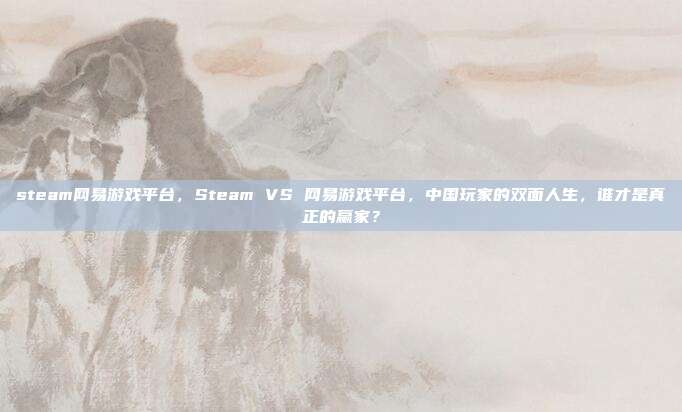 steam网易游戏平台，Steam VS 网易游戏平台，中国玩家的双面人生，谁才是真正的赢家？