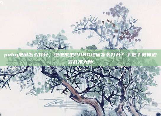 pubg地图怎么打开,绝地求生PUBG地图怎么打开?手把手教你秒变战术大师
