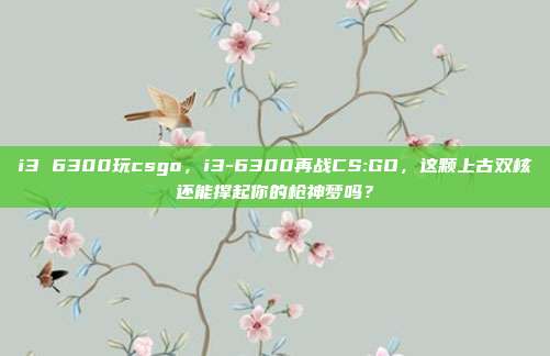 i3 6300玩csgo,i3-6300再战CS:GO,这颗上古双核还能撑起你的枪神梦吗?
