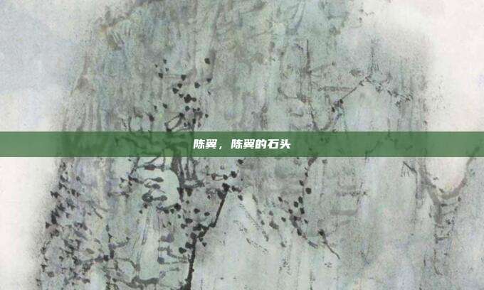 陈翼，陈翼的石头