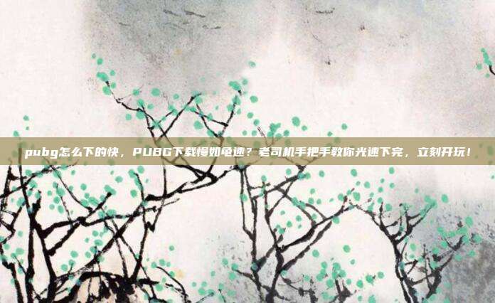 pubg怎么下的快，PUBG下载慢如龟速？老司机手把手教你光速下完，立刻开玩！
