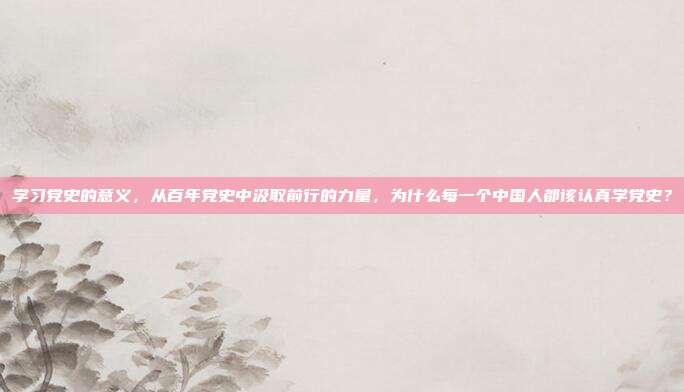 学习党史的意义，从百年党史中汲取前行的力量，为什么每一个中国人都该认真学党史？
