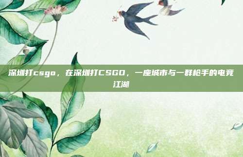 深圳打csgo，在深圳打CSGO，一座城市与一群枪手的电竞江湖