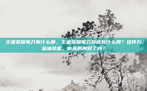 王者荣耀电刀有什么用，王者荣耀电刀到底有什么用？这件万金油装备，你真的用对了吗？