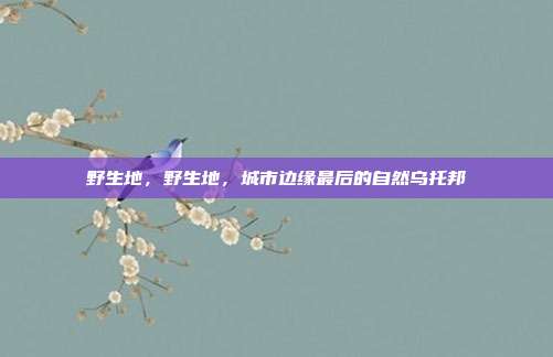 野生地，野生地，城市边缘最后的自然乌托邦