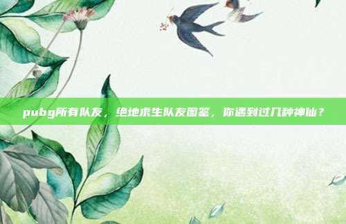 pubg所有队友,绝地求生队友图鉴,你遇到过几种神仙?