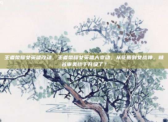 王者荣耀女英雄改动，王者荣耀女英雄大变动，从花瓶到女战神，峡谷审美终于升级了？