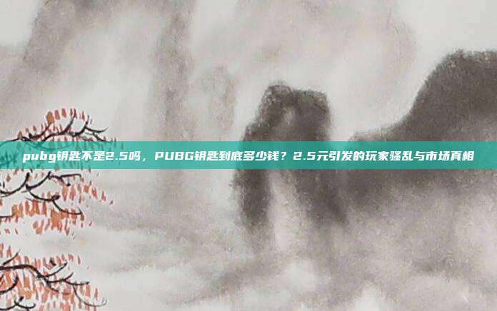 pubg钥匙不是2.5吗,PUBG钥匙到底多少钱?2.5元引发的玩家骚乱与市场真相