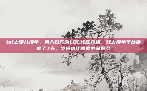 lol去哪儿接单，月入过万的LOL代练真相，我去接单平台卧底了7天，发现水比想象中深得多