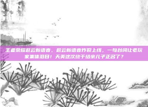 王者荣耀赵云新语音,赵云新语音炸裂上线,一句台词让老玩家集体泪目!天美这次终于给亲儿子正名了?
