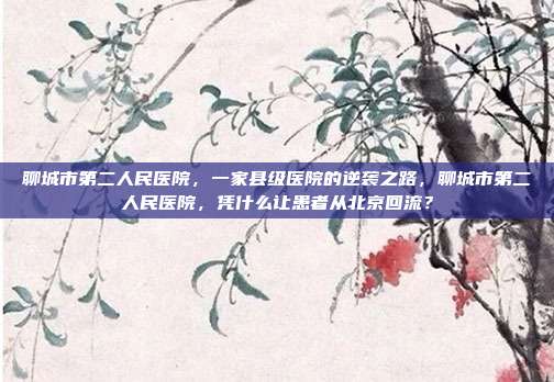 聊城市第二人民医院，一家县级医院的逆袭之路，聊城市第二人民医院，凭什么让患者从北京回流？