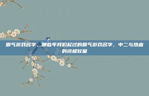 霸气游戏名字,那些年我们起过的霸气游戏名字,中二与热血的终极较量