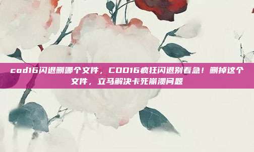 cod16闪退删哪个文件，COD16疯狂闪退别着急！删掉这个文件，立马解决卡死崩溃问题