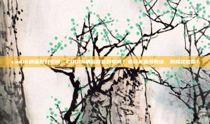cod16刷蓝图封号吗，COD16刷蓝图会封号吗？老玩家血泪教训，别踩这些雷！