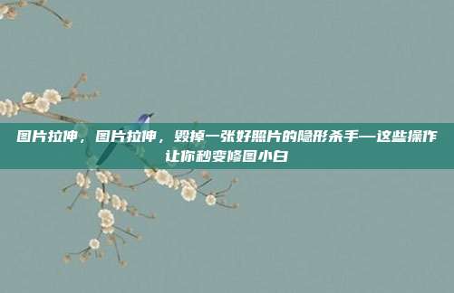 图片拉伸,图片拉伸,毁掉一张好照片的隐形杀手—这些操作让你秒变修图小白