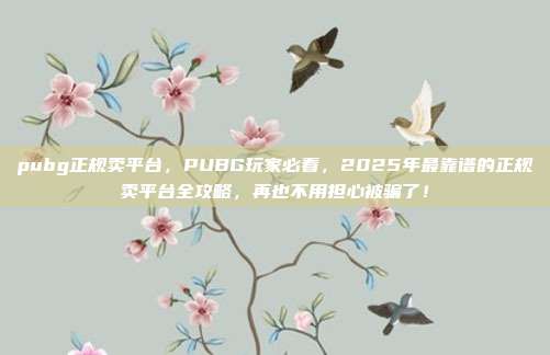 pubg正规卖平台，PUBG玩家必看，2025年最靠谱的正规卖平台全攻略，再也不用担心被骗了！