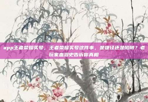 app王者荣耀买号，王者荣耀买号这件事，是捷径还是陷阱？老玩家血泪史告诉你真相