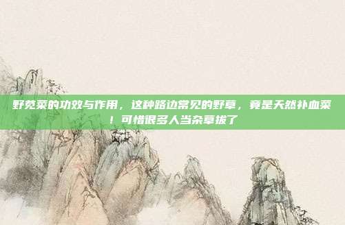 野苋菜的功效与作用,这种路边常见的野草,竟是天然补血菜!可惜很多人当杂草拔了