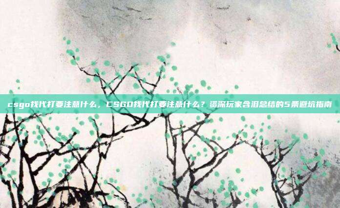 csgo找代打要注意什么，CSGO找代打要注意什么？资深玩家含泪总结的5条避坑指南