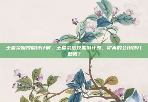 王者荣耀技能倒计时，王者荣耀技能倒计时，你真的会用那几秒吗？