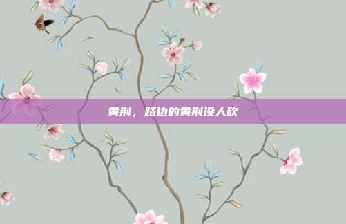 黄荆，路边的黄荆没人砍