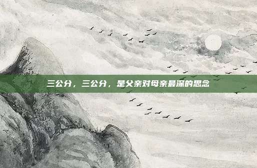 三公分，三公分，是父亲对母亲最深的思念